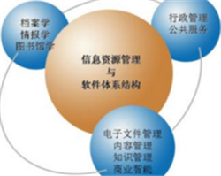 信息资源管理