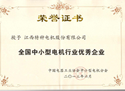 江西特种电机股份有限公司