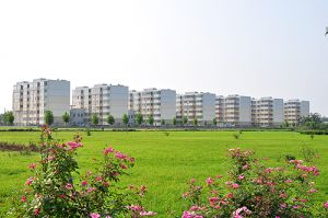 雏鹰农牧集团股份有限公司