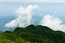 圳上镇