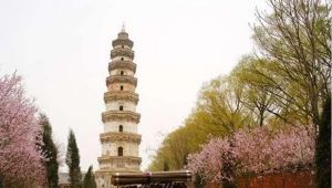 武邑镇