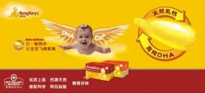 金奇仕产品