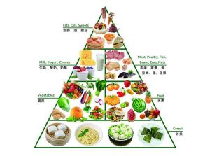 膳食结构