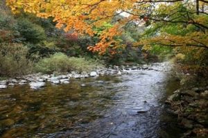 凤城市