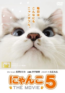 猫咪物语