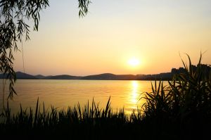 涡阳县