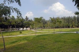 学院风格