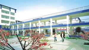 电子科技大学成都学院