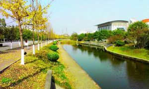三峡大学