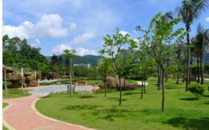 深圳中心公园