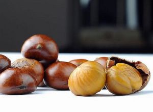 板栗