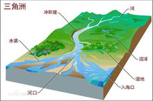 珠江三角洲 