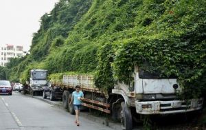 最牛僵尸车