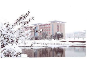 学院美景