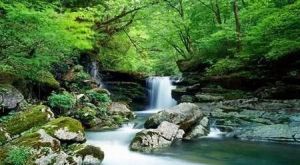 附近景点