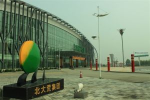 北大荒