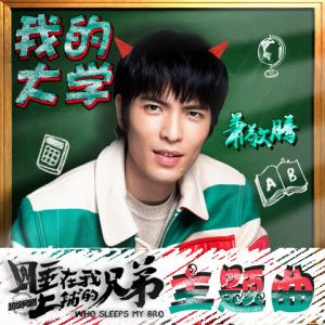 《我的大学》海报