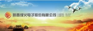 陕西烽火电子股份有限公司