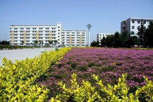 学校风光