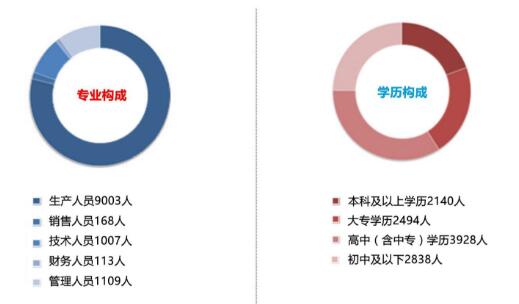人员结构