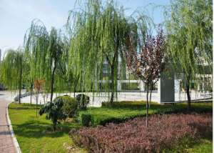 西安交通大学城市学院 校园一角