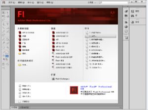 Adobe Flash CS6