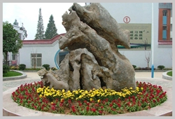 校园风光
