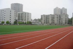 南京财经大学