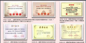公司荣誉