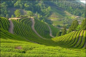 南郑县