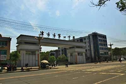津市一中