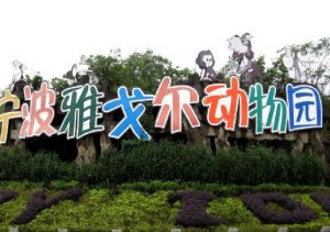 附近景点