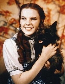朱迪·嘉兰（Judy Garland）