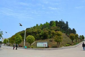 中南林业科技大学涉外学院