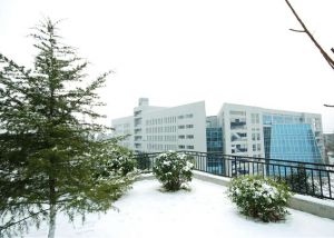 校园雪景