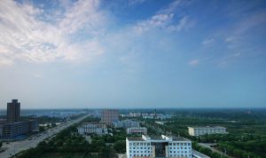 沈丘县