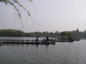 新疆财经大学商务学院