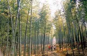 锦屏黄哨山风光