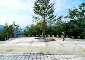 铜钱乡