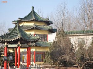 校园风景