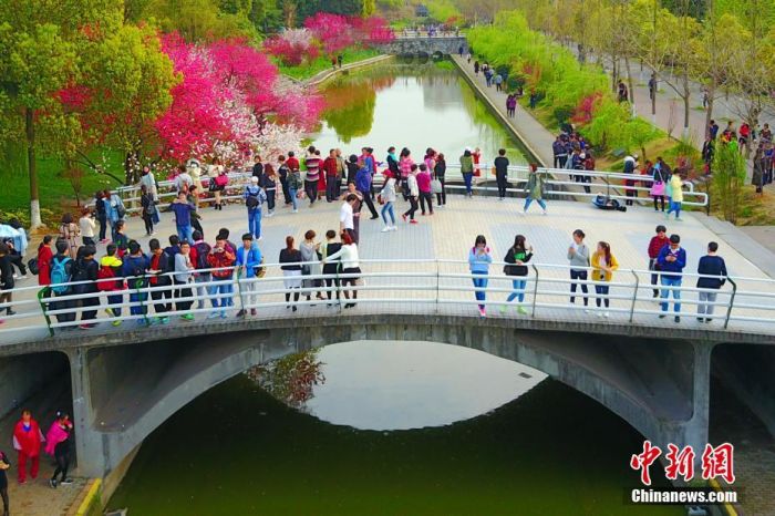 3月28日，万余名游客来到三峡大学踏青赏花