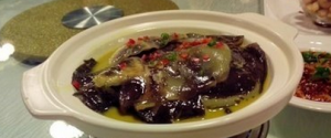 汉寿甲鱼