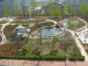 校园风光