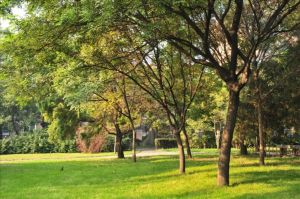 山西医科大学汾阳学院