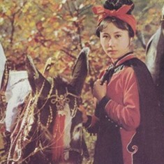 侠女十三妹