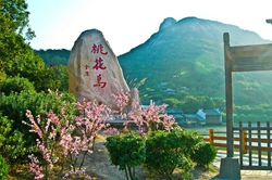 桃花岛
