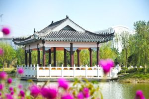 校园风景