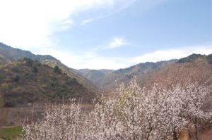 发鸠山自然风景区