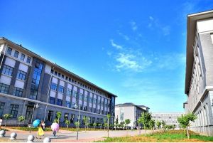 教育科学学院