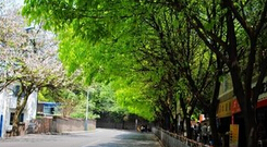 方山镇